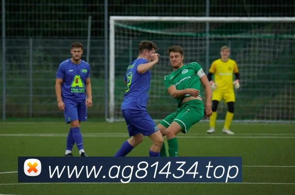 体育数据展示